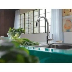 Franke Mitigeur Cuisine Eos Neo à Bec Inox 727983